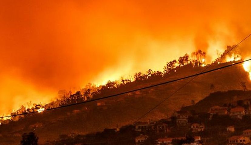 Croatia to crack down on neglected private land as wildfire risk rises