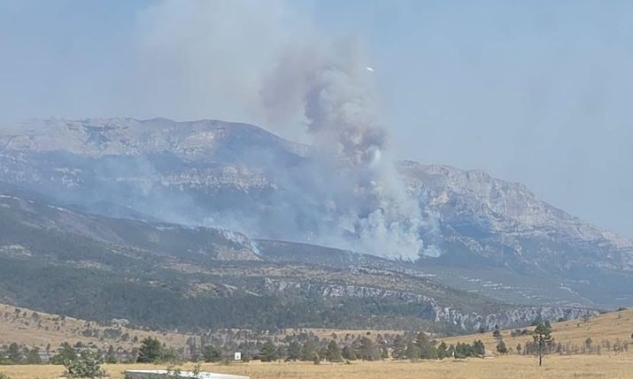Four arrested over series of fires at 10 locations in Zadar County