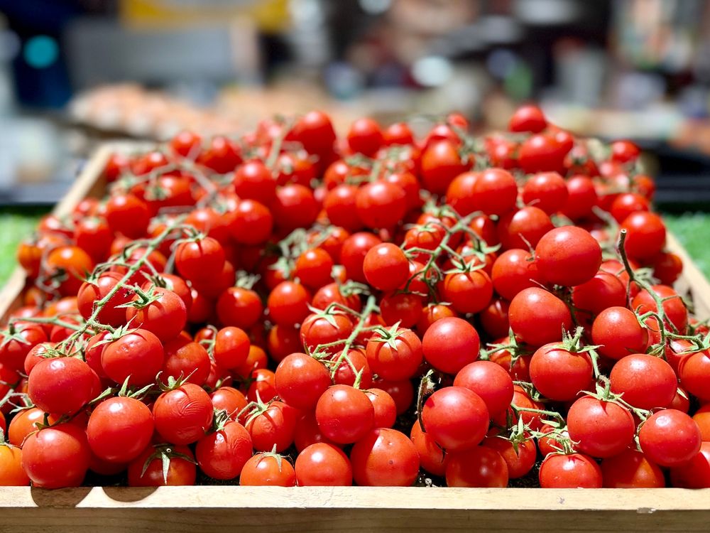 Salmonella-linked cherry tomatoes from Italy reach Croatian restaurants